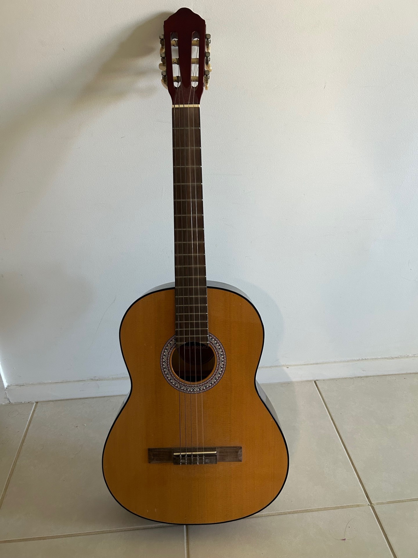Acoustic Guitar